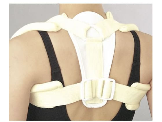 �V�O�}�b�N�X �N���r�N���u���[�X �T�|�[�^�[(����)19-4615-04 15605(L)