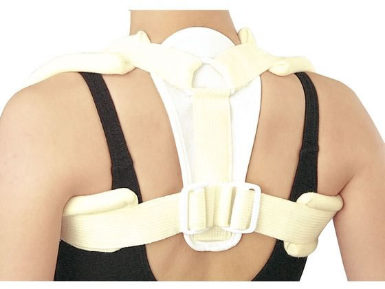 �V�O�}�b�N�X �N���r�N���u���[�X �����Œ�� 19-4615-05 15606(LL)