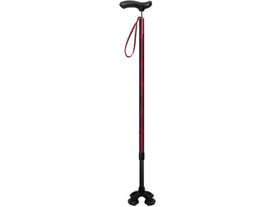 �V�i�m ����GEL�O���b�v4�_�� 75-90cm �{���h�[ 605300