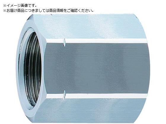 SANEI XX\Pbg T213-13