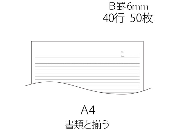 プラス レポートパッド A4 B罫 RE-250B 76-835 通販【フォレストウェイ】