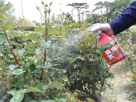 住友化学園芸 ベニカXファインスプレー 1000ml 通販【フォレストウェイ】