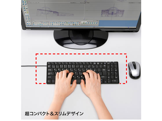 サンワサプライ USBスリムキーボード テンキー付き ブラック SKB