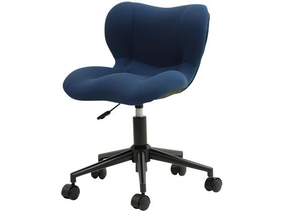 �j�V�L�H�� ����Ǝp�����ǂ��Ȃ鍘�ɑ΍�`�F�A�[ �u���[ BSSI-BL