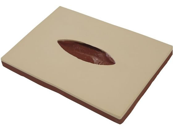 �o�C�I�X�L�� �n���Ǘ����f�� �n���Ǘ��g���[�i�[ 24-8253-00 BDR-A4