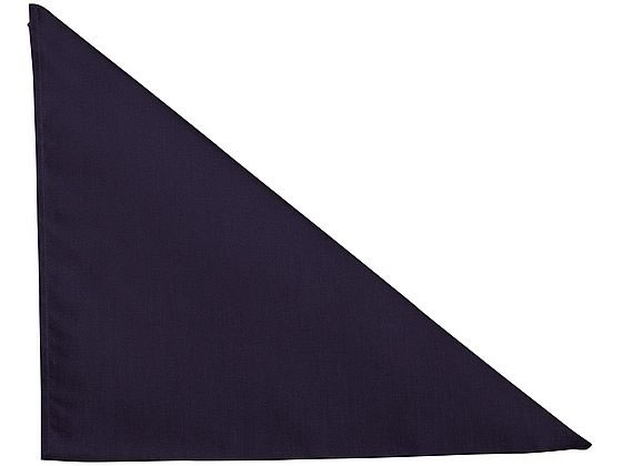 �L���C�ȎO�p�� �l�C�r�[ �t���[�T�C�Y FR9200-100