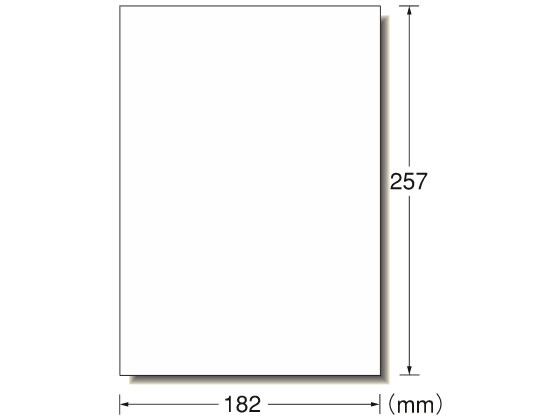 エーワン PPC(コピー)ラベル B5 ノーカット 100枚 28772