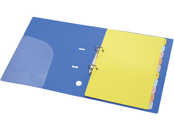 コクヨ カラー仕切カード(ファイル用) A4タテ 10山 2穴 5組 シキ-130N 