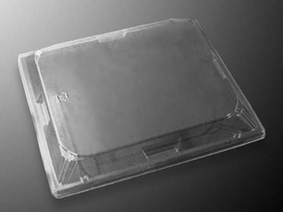 �������w CT WF-22 �h�܊W 50��