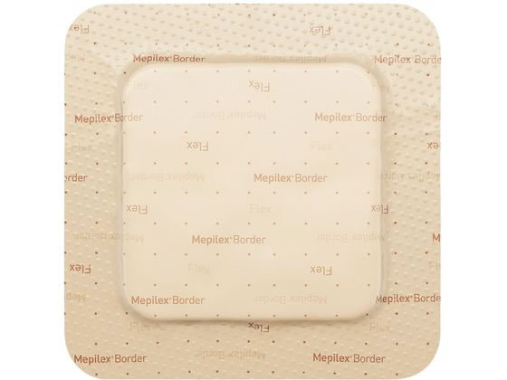 �������b�P ���s���b�N�X�{�[�_�[�v���e�N�g �l�p �h���b�V���O�� 25-7454-00 �������b�P�w���X�P�A 595211(�X�N�G�A)10�}�C�C��