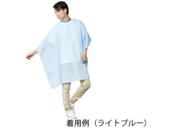 ���z ���C�g�u���[ 8-2544-02