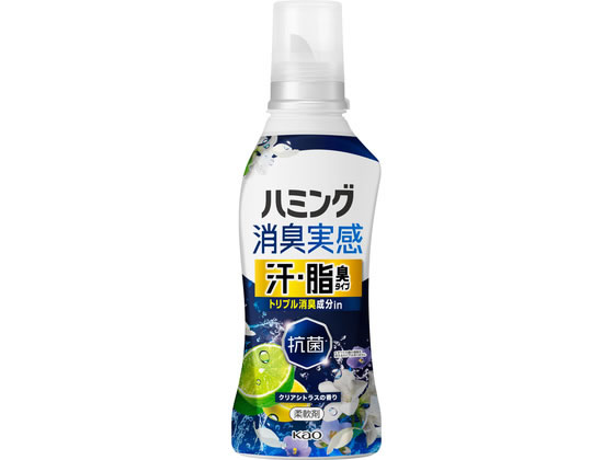 KAO �n�~���O���L���� ���E���L�^�C�v �V�g���X�̍��� �{�� 500g