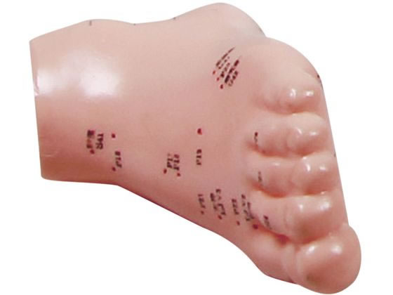 Erler-Zimmer �ڃ��f�� ���ڗp 8-635-02