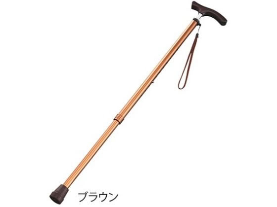 �L�k��(�X�����l�b�N�^�C�v)�u���E��(�j���p) 8-6960-01