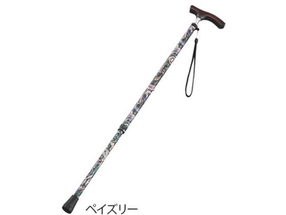 �L�k��(�X�����l�b�N�^�C�v)�y�C�Y���[(�����p) 8-6961-02