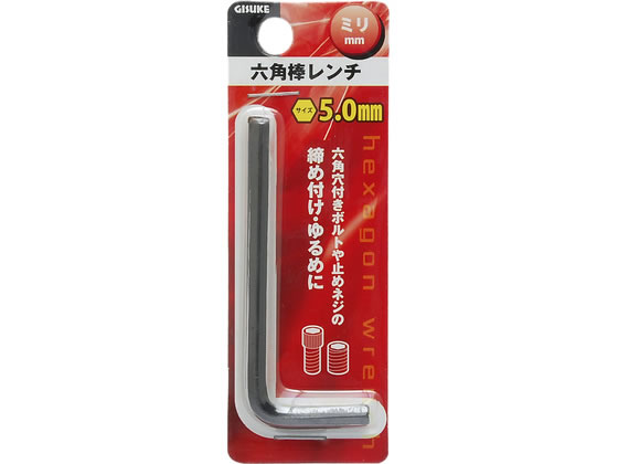 TAKAGI GISUKE �Z�p�_�����` �~�� 5.0mm