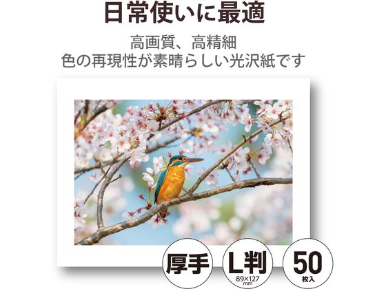 エレコム 写真用光沢紙 厚手 L判 50枚 EJK-HQL50 通販【フォレストウェイ】