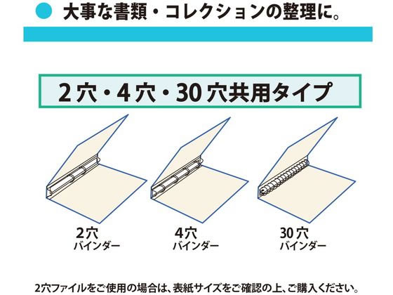 プラス 差替リフィル 2ポケット A4 2・4・30穴 10枚 透明 87442【通販