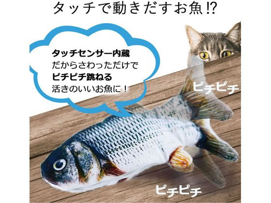 日翔 お魚ピチピチ フナ 通販【フォレストウェイ】