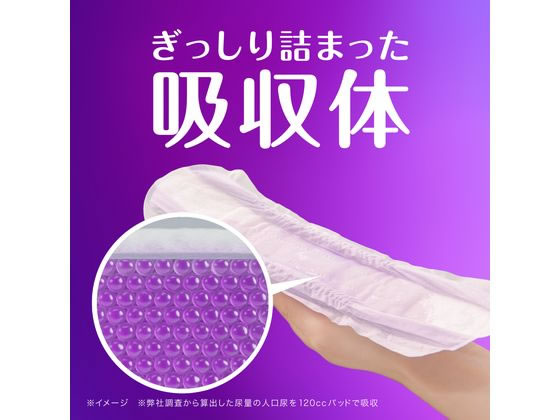 P&G ウィスパー うすさら安心 120cc 16枚 無香料 通販【フォレストウェイ】