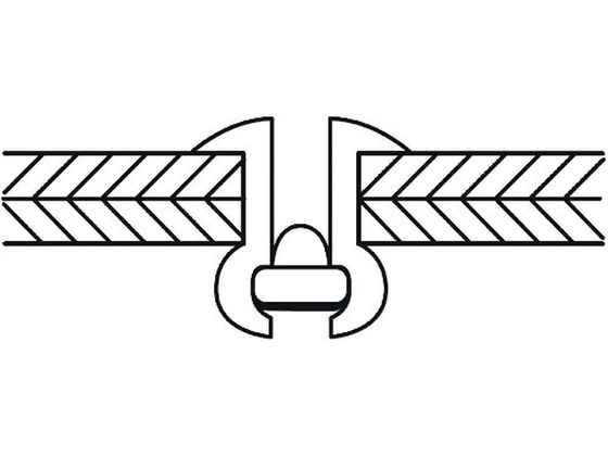 エビ ブラインドリベット(スティール／スティール製) 3-4(65本入) エコ