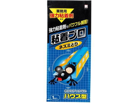 vۍHƏ Sv lY~Ƃ nEX^ 1 1995