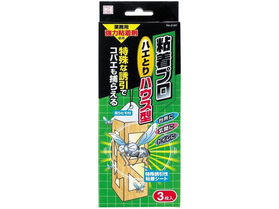 vۍHƏ Sv nGƂ nEX^ 3 2187