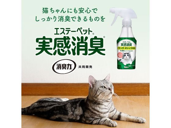 エステー 実感消臭スプレー 猫用 本体フレッシュグリーンの香り270ml 通販【フォレストウェイ】