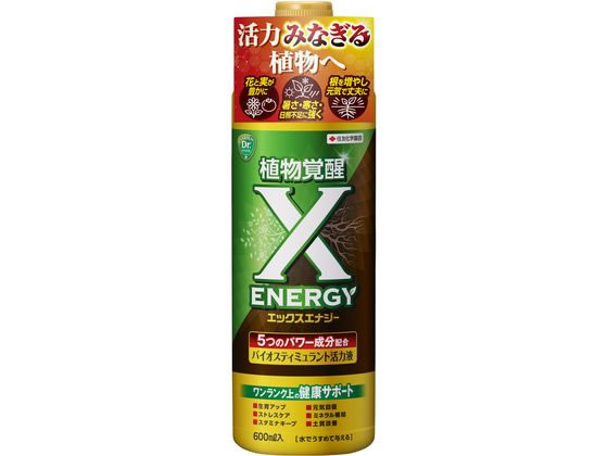 ZFw| X-ENERGY 600ml