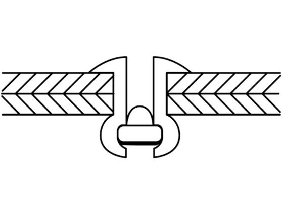 エビ ブラインドリベット(アルミニウム／ステンレス製) 6-16(500本入