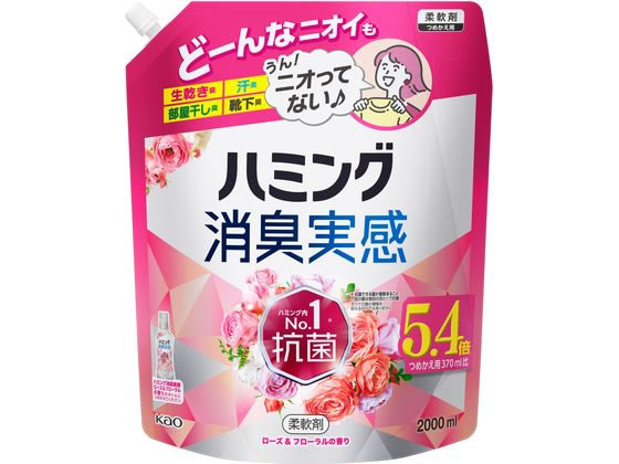 KAO �n�~���O���L���� ���[�Y&�t���[�����̍��� �l�փX�p�E�g 2.0L