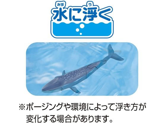 タカラトミー アニア AL-23 シロナガスクジラ(水に浮くVer.) 通販【フォレストウェイ】