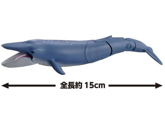 アニア 節約 シロナガスクジラ親子