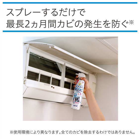 アース製薬 らくハピ エアコンの防カビスプレー 無香性(350ml) 通販