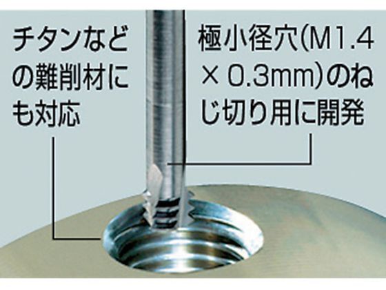 NOGA Carmex超硬ソリッドミニミルスレッド シャンク径6×M3.0×0.50×首下