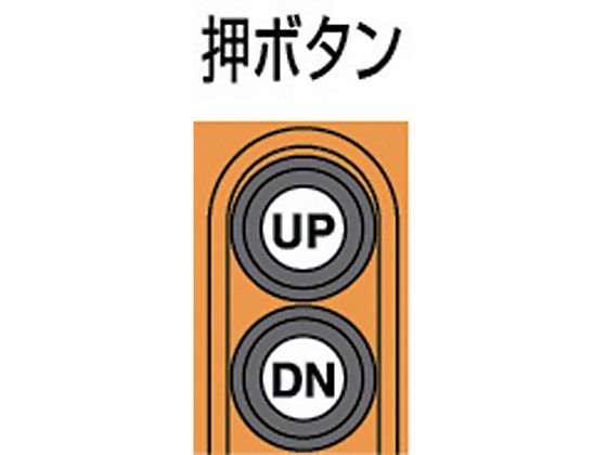 象印 単相100V小型電気チェーンブロック 1速型 160kg・3m【通販