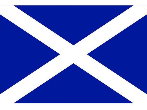 東京製旗 国旗No.2(90×135cm) スコットランド 426351 | Forestway