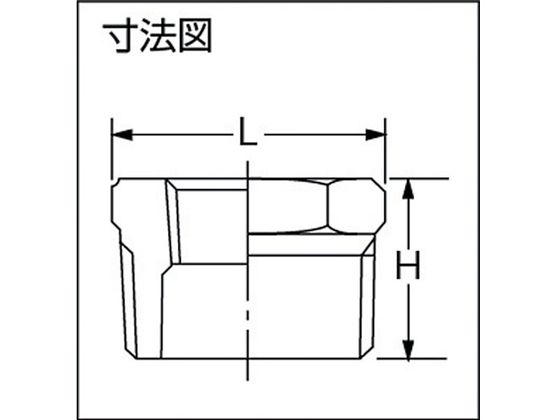 イノック ブッシング 15A10A 304B15AX10A | Forestway【通販フォレスト