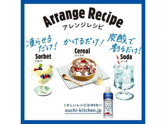 キリン 世界のKitchenから ソルティライチベース 500mL×24本 通販【フォレストウェイ】