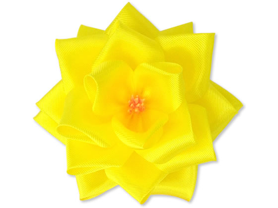 TTK {o   ^Ȃ Ԍa95mm 12