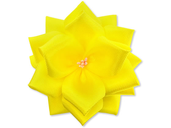 TTK {o   ^Ȃ Ԍa70mm 20