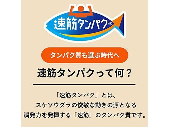 ニッスイ 速筋タンパクプロテインSトマト 420g 通販【フォレストウェイ】