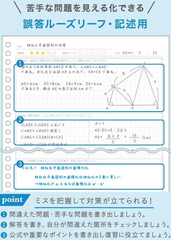 学研ステイフル QuizKnock×Gakken B5ルーズリーフ 誤答記述30枚【通販