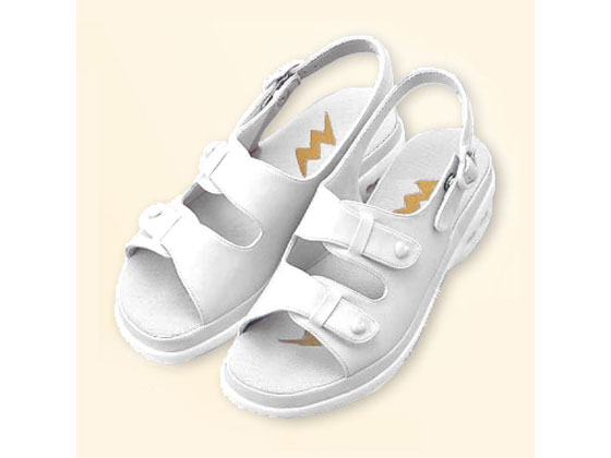 AY p[tFNgi[X(i[XV[Y)zCg 25.0~25.5cm  PN00100