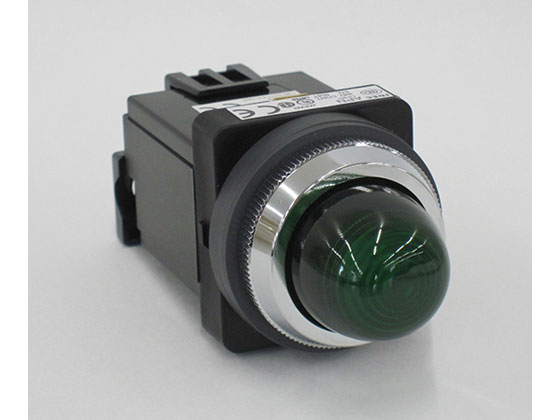 IDEC pCbgCg  APN116DNG