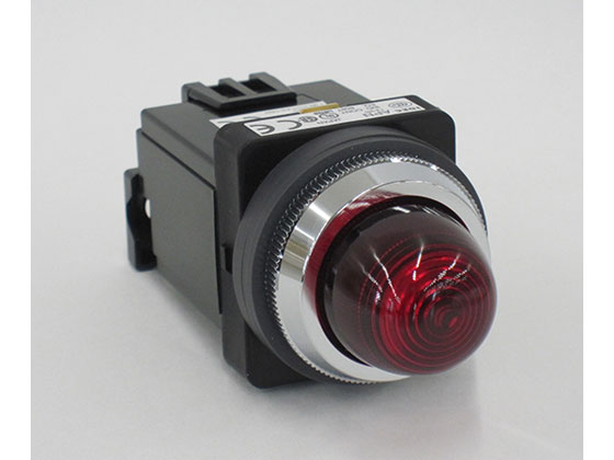 IDEC pCbgCg  APN116DNR