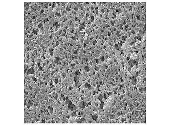 Merck Nylon Membrane. Hydrophilic. 1.2 m. 47 mm. white. plain; 100 Pk 100PK RNWP04700