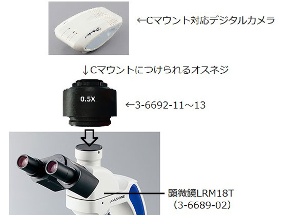 ECﾌﾟﾗﾝﾚﾝｽﾞ生物顕微鏡用 Cﾏｳﾝﾄｱﾀﾞﾌﾟﾀ 1/2 CCM05X 1個-