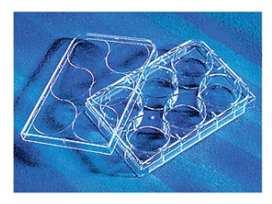 コーニング マルチプルウェルプレート6ウェル平底フタ付(5枚 包) 3506