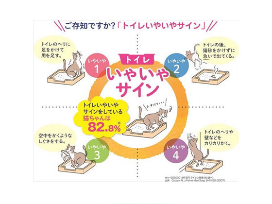 売れ筋介護用品も 獣医師開発 ニオイを取る砂専用 猫トイレ スタートセット ４箱 Lion 猫用品 Williamsav Com